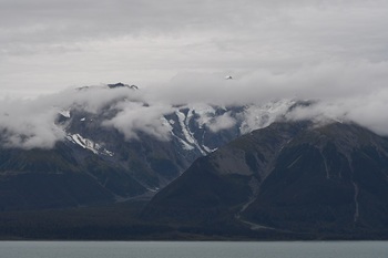 DSC_0704.JPG