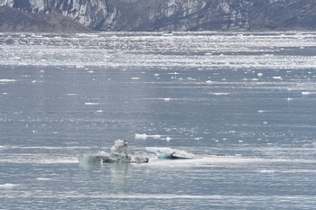 DSC_0734.JPG