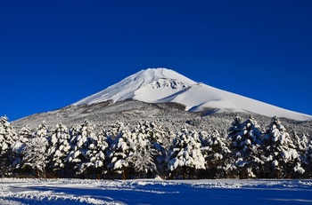 DSC_1002.jpg