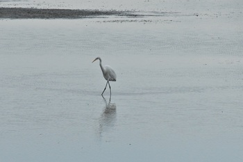 DSC_1010.JPG