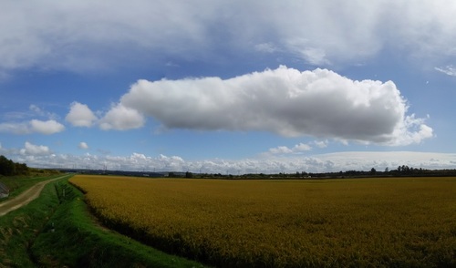 DSC_1031.jpg