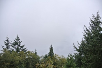 DSC_1115.JPG