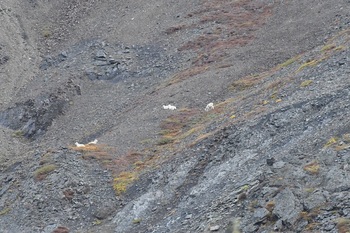 DSC_2418.JPG