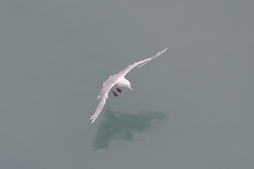 DSC_2952.JPG