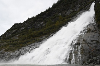 DSC_3391.JPG