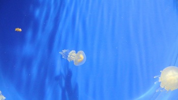 DSC_9967.JPG