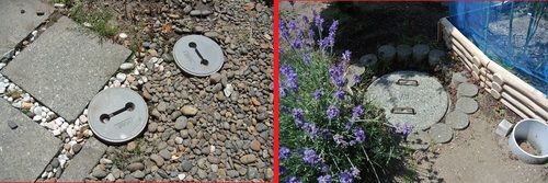 DSC_8117.JPG