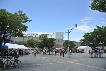 DSC_8690.JPG