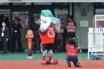 DSC_8730.JPG
