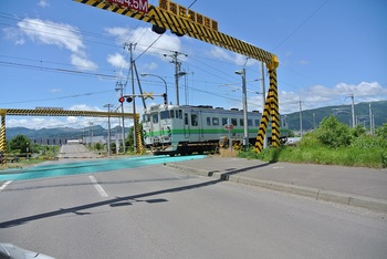 DSC_8804-5.JPG