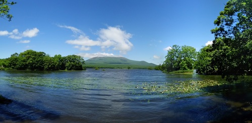 DSC_8814-4.jpg