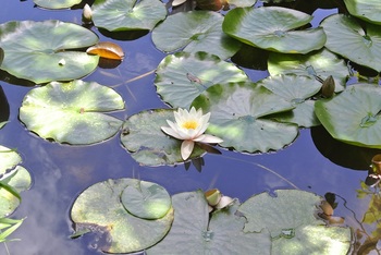 DSC_8821.JPG