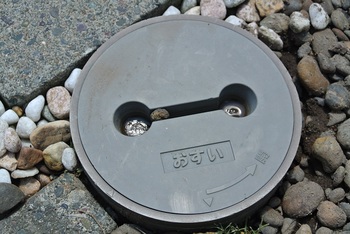 DSC_9123.JPG