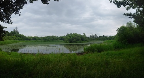 DSC_9140.jpg