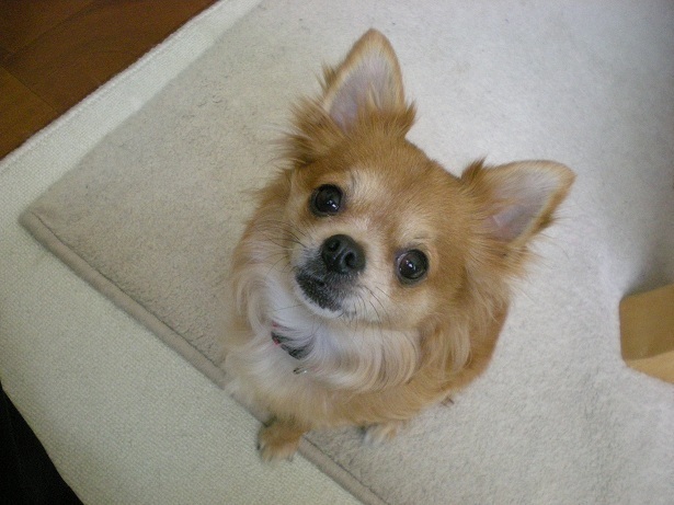 DSCN2513.JPG