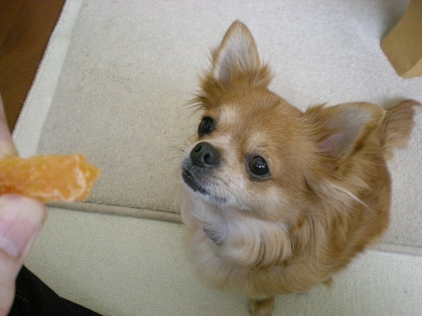 DSCN2514.JPG