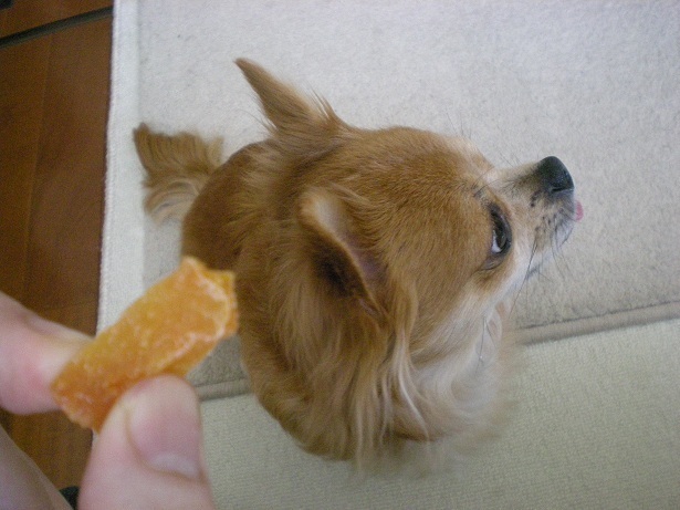 DSCN2521.JPG