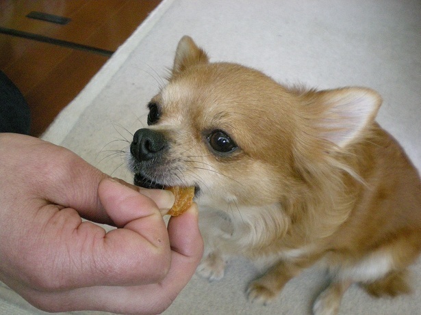 DSCN2535.JPG