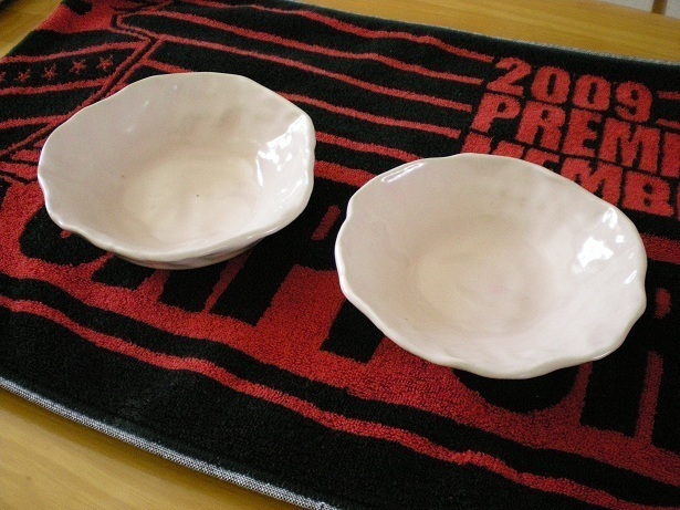 DSCN27811.JPG