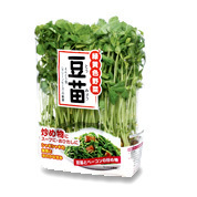DSCN2810.jpg