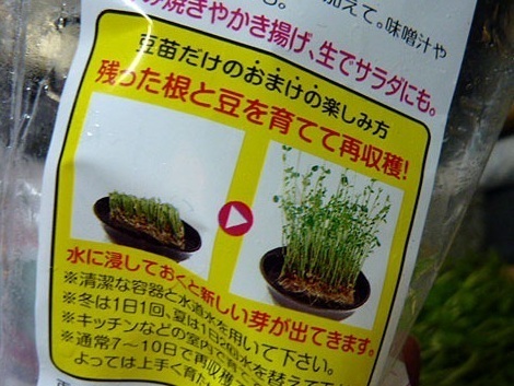 DSCN2813.jpg