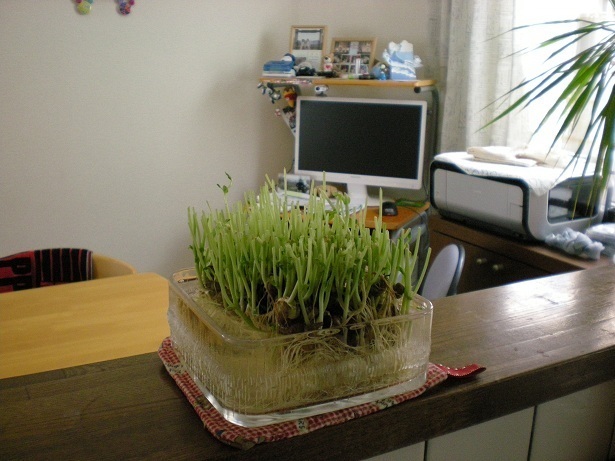 DSCN2815.JPG