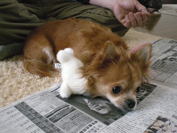 DSCN2932.JPG