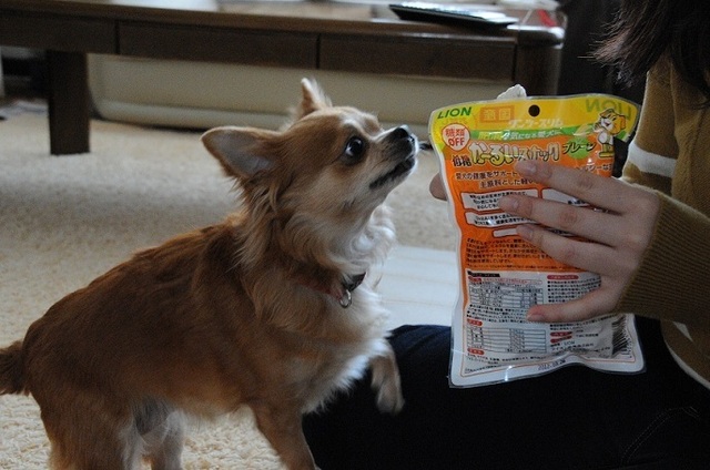 DSCN2940.JPG