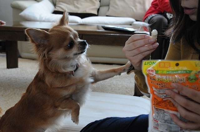 DSCN2941.JPG