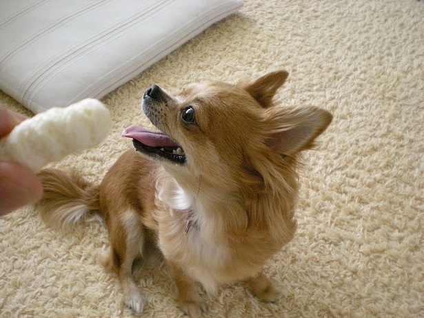 DSCN2943.JPG