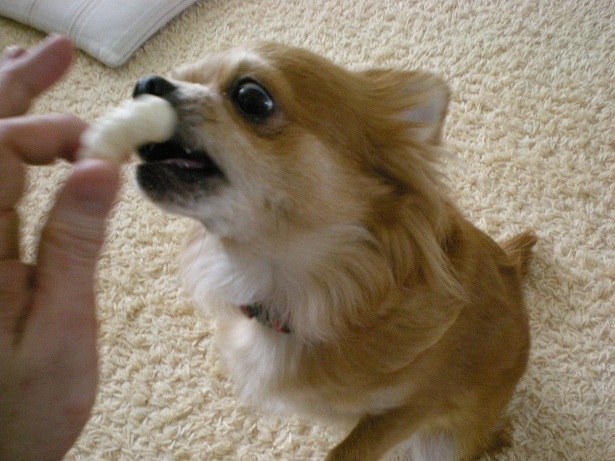 DSCN2994.JPG