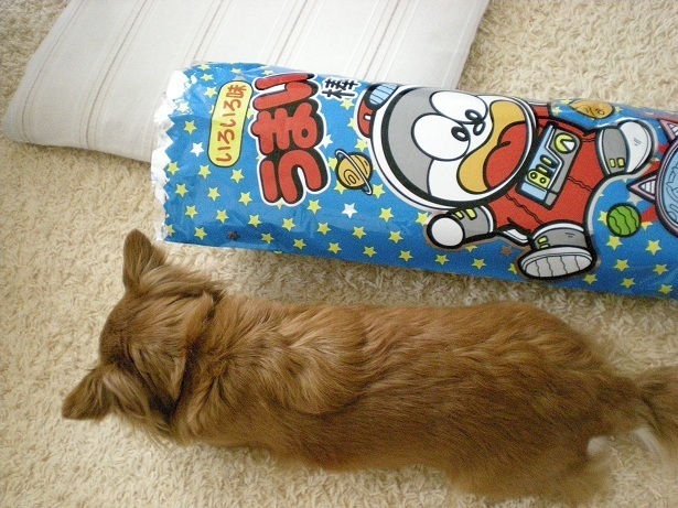 DSCN3009.JPG