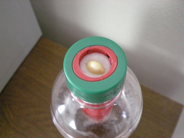 DSCN3087.JPG