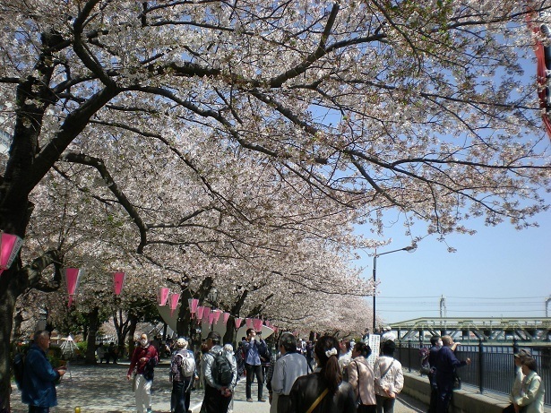 DSCN3112.JPG