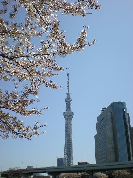 DSCN3113.JPG