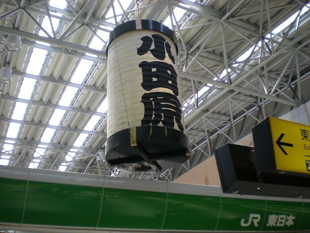DSCN3118.JPG
