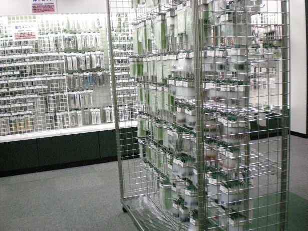DSCN3334.JPG