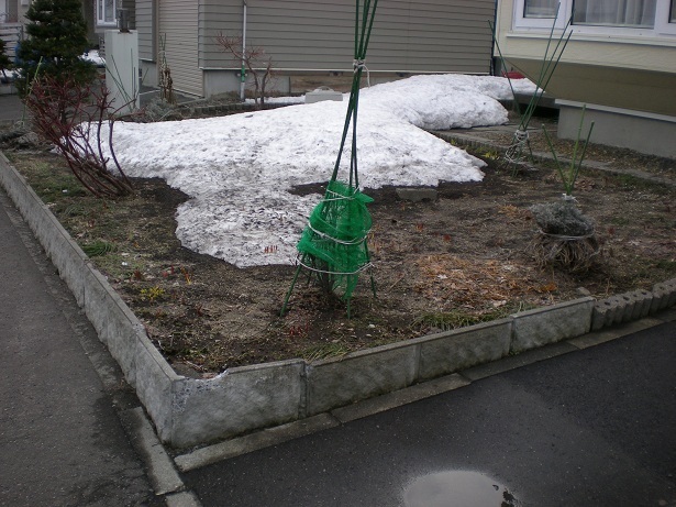 DSCN3375.JPG