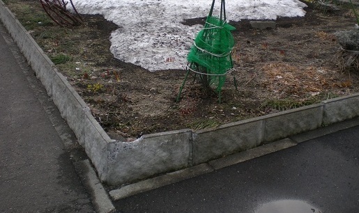 DSCN3375.JPG