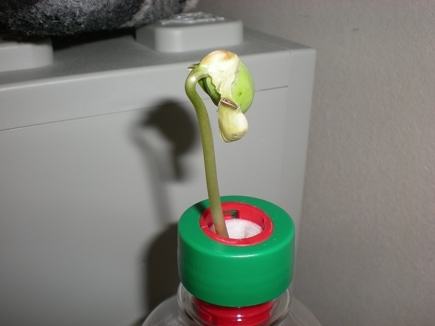 DSCN3422.JPG