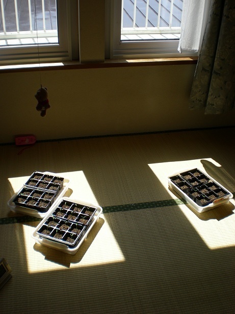 DSCN3452.JPG