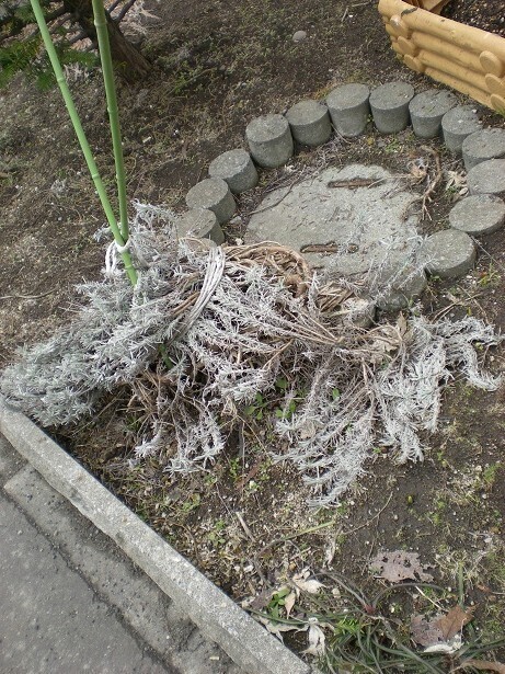 DSCN3460.JPG