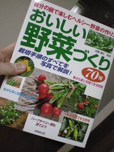 DSCN3504.JPG