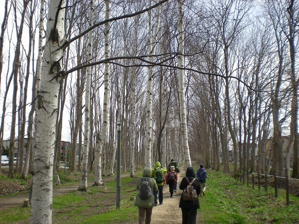 DSCN3538.JPG
