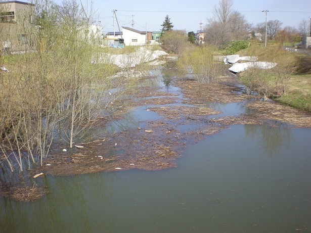 DSCN3560.JPG