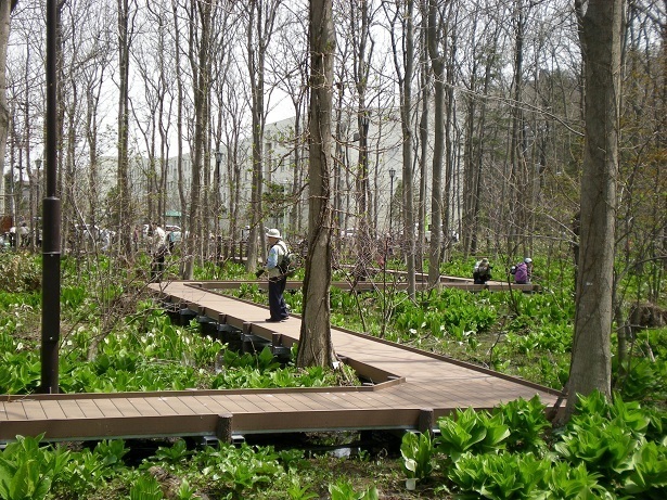 DSCN3561.JPG