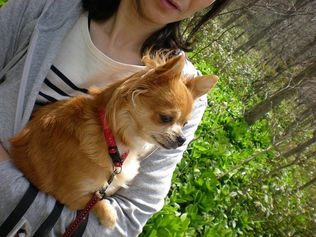 DSCN3568.JPG
