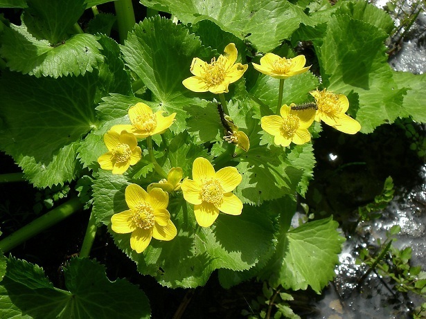 DSCN3570.JPG