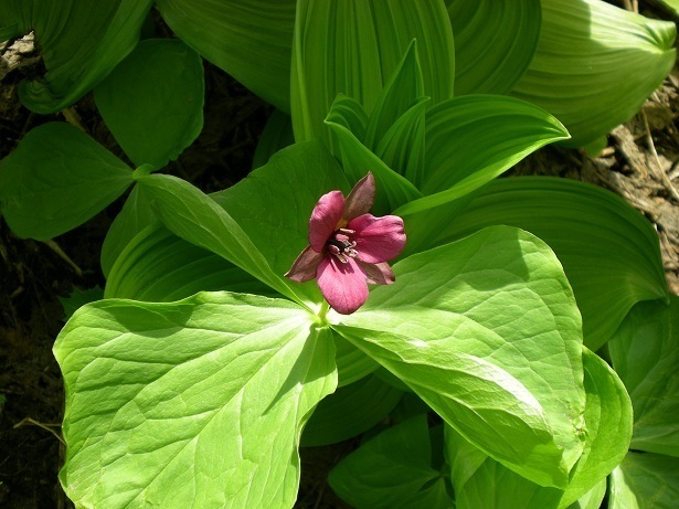 DSCN3579.JPG