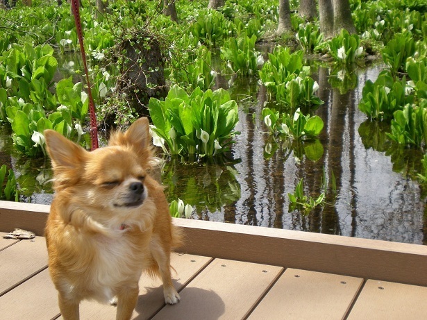 DSCN3582.JPG